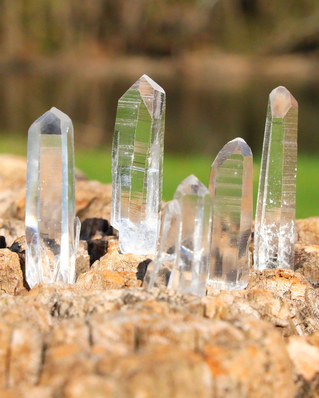 Lemurian Quartz Points Super Optical Clarity - small 5 pack