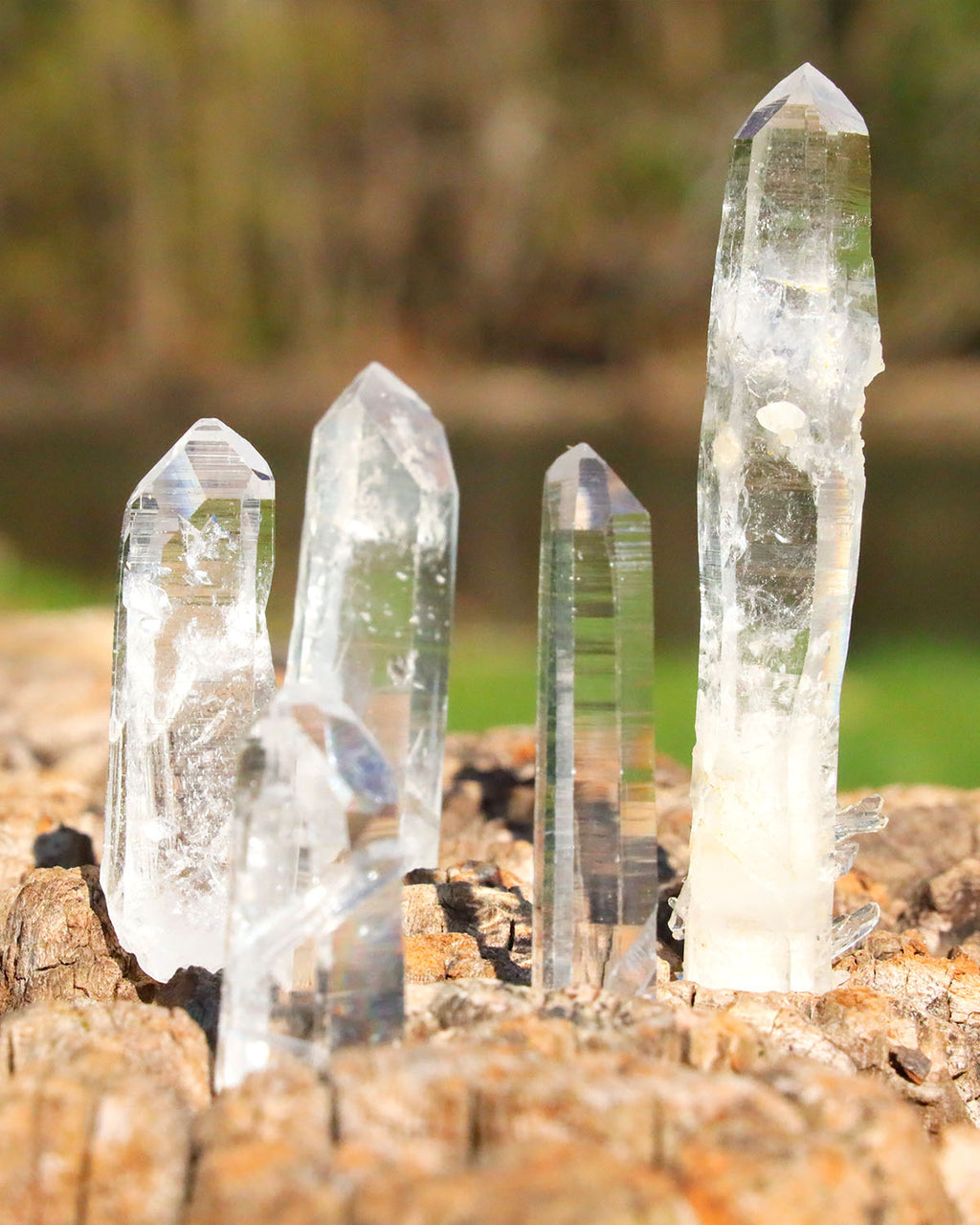 Lemurian Quartz Points Super Optical Clarity - small 5 pack