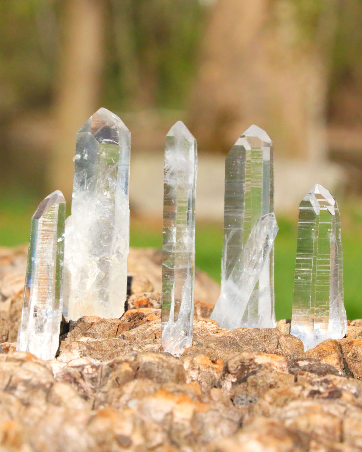 Lemurian Quartz Points Super Optical Clarity - small 5 pack