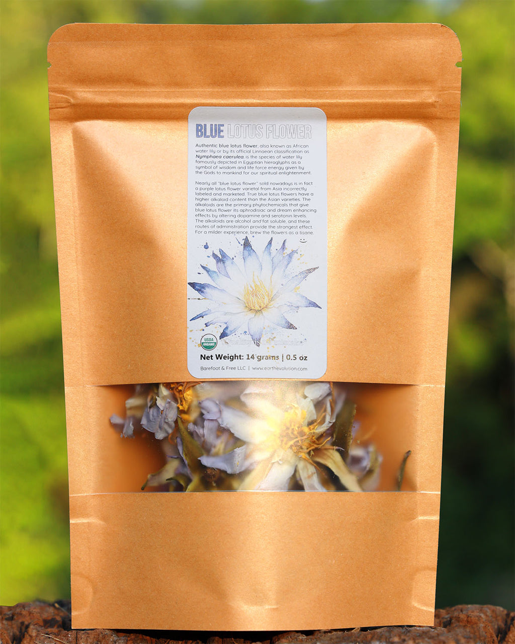 Authentic Blue Lotus Flowers 1/2 oz Nymphae Caerulea