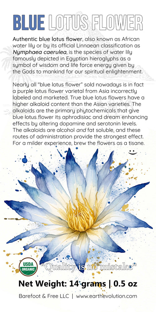 Authentic Blue Lotus Flowers 1/2 oz Nymphae Caerulea