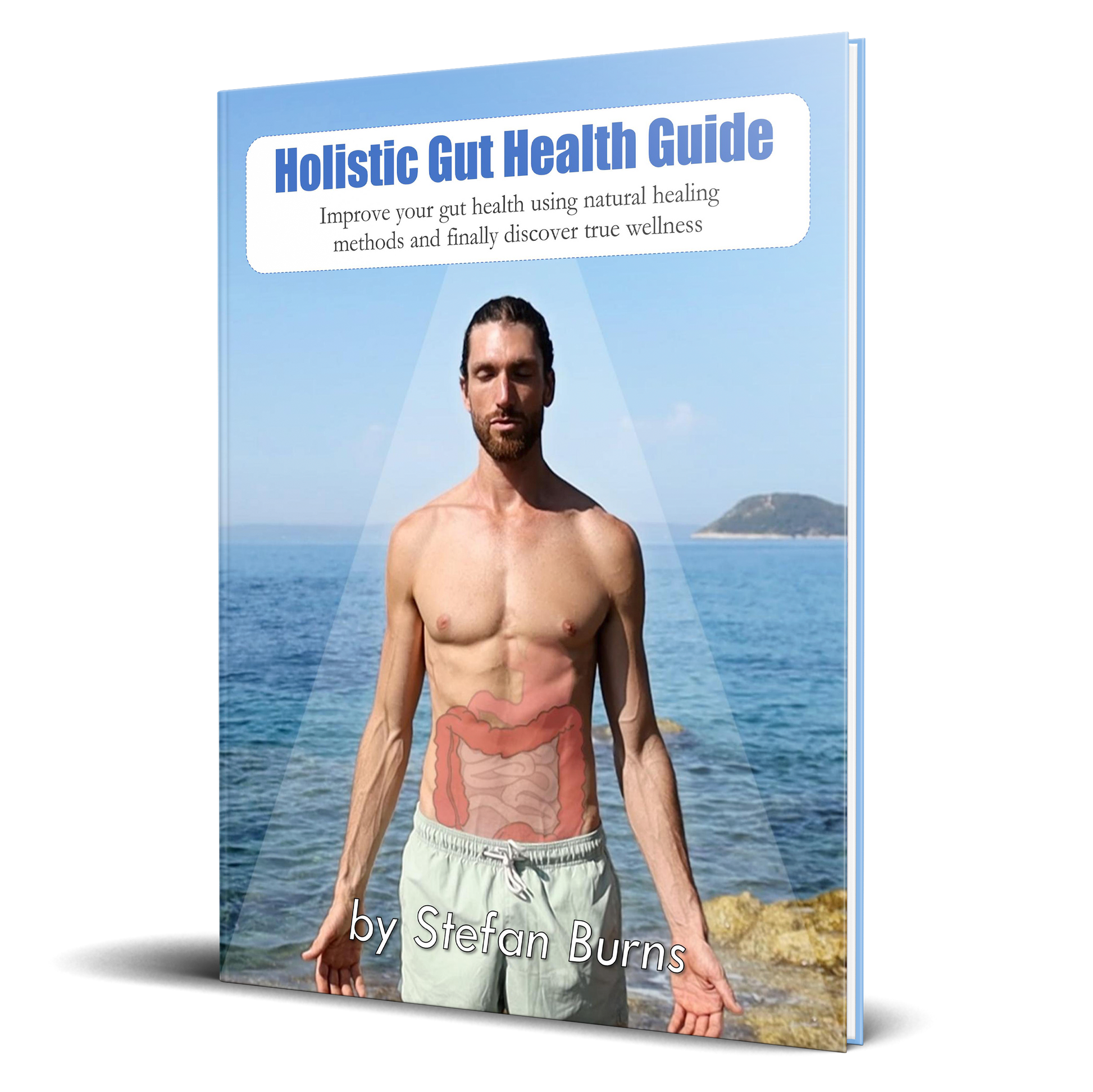 Holistic Gut Health Guide (Digital Download)