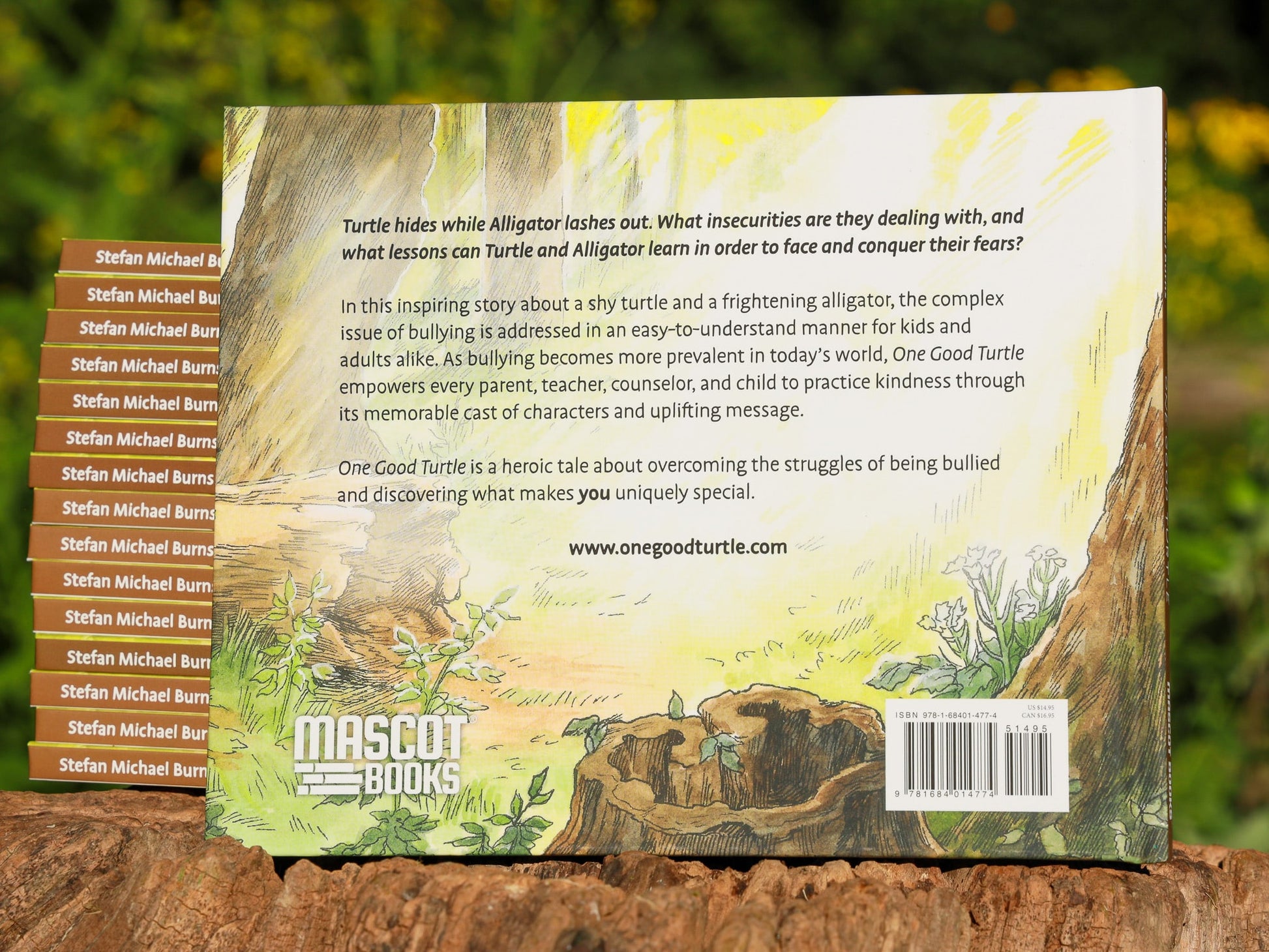 One Good Turtle children's book by Stefan Burns