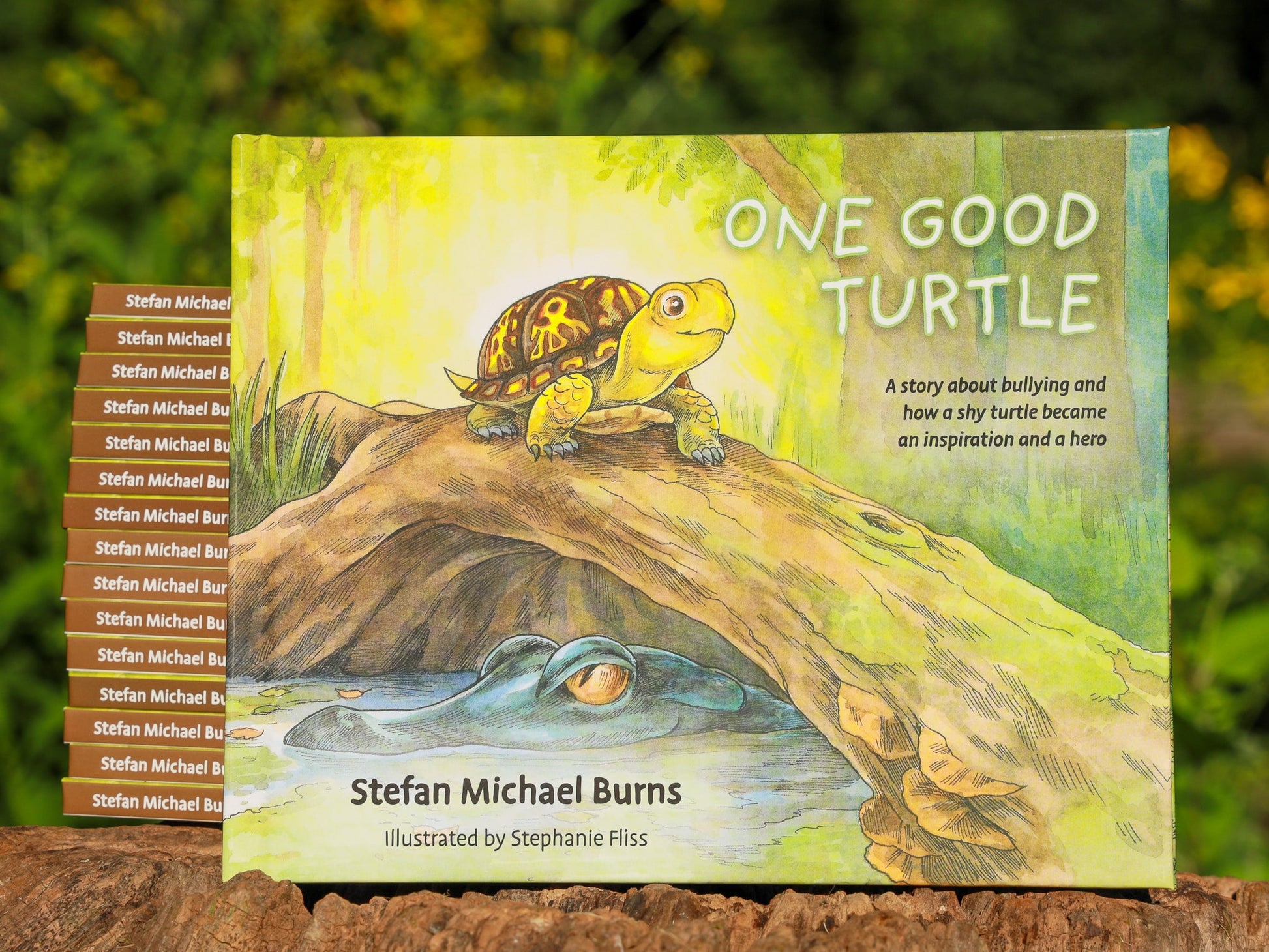 One Good Turtle children's book by Stefan Burns